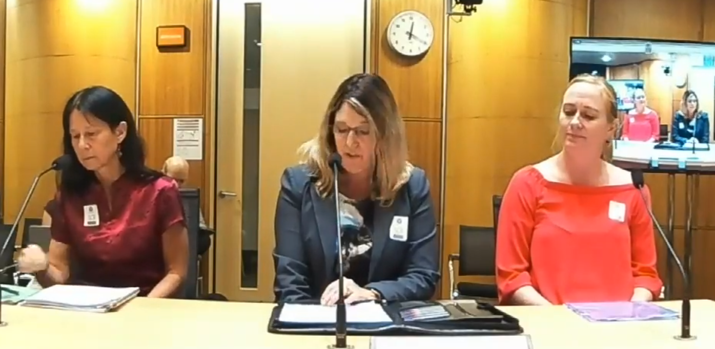 pay equity submission to parliament